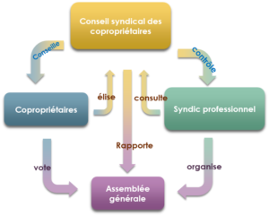 Schéma Responsabilité Conseil Syndical